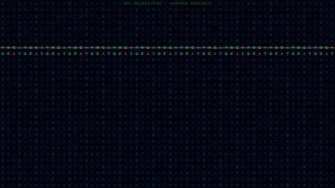 DNA Sequencing on Computer Screen in Dark Lab Animation Stock Footage 340364939