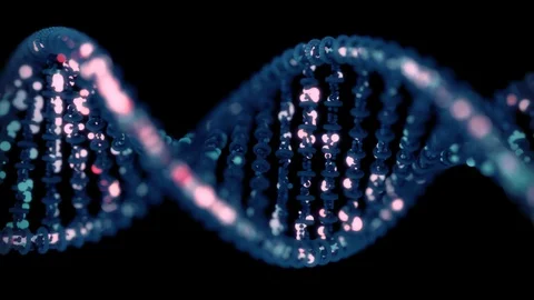 DNA sequencing / editing concept. Stock Footage 91153179
