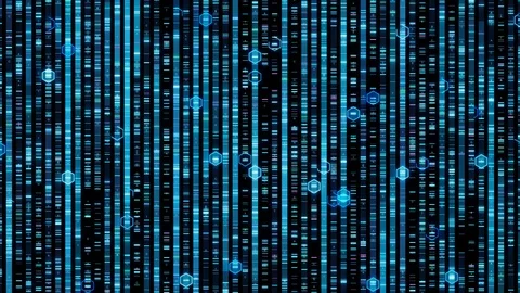 DNA sequencing mapping working out the order of the bases Stock Footage 116951163