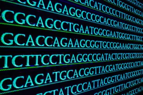 DNA sequencing. Stock Photos