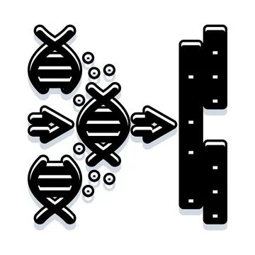 Dna sequencing process converting genetic data into information Stock Illustration