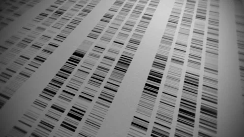DNA sequencing, profiling and analysis Stock Footage 295441268