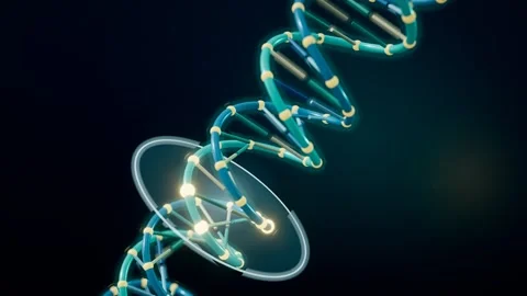 Dna sequencing scan beam sweeping along helix readout loop 스톡 동영상 343194758