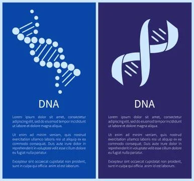 DNA Set of White Spirals Isolated on Blue Backdrop 스톡 일러스트