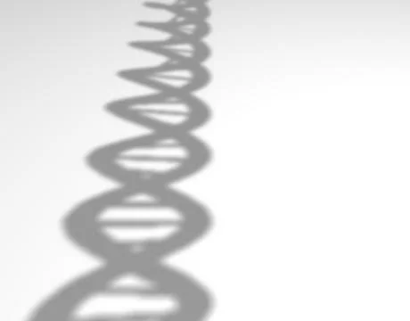 DNA shadow Stock Illustration