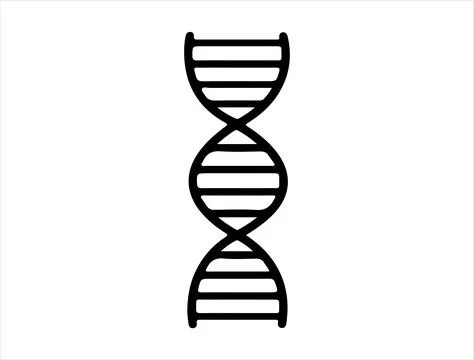 DNA silhouette vector art Illustrazione stock