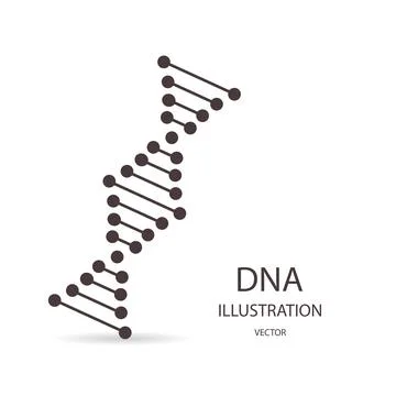 DNA simbol in flat style, on a white background 스톡 일러스트