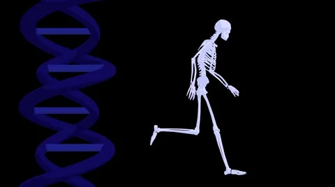 Dna &amp; skeleton running Stock Footage 942237