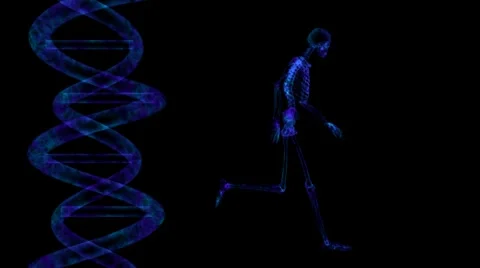 Dna &amp; skeleton running Stock Footage 942249