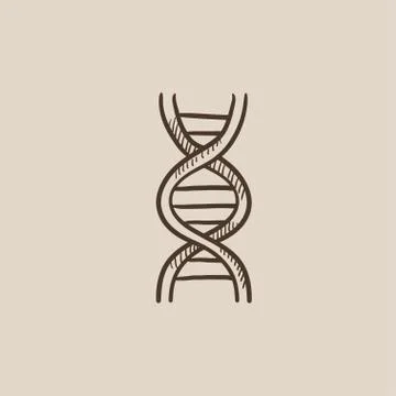 DNA sketch icon イラスト素材