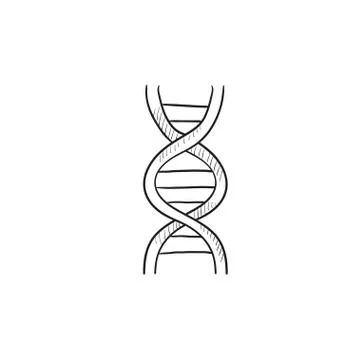 DNA sketch icon Stock Illustration