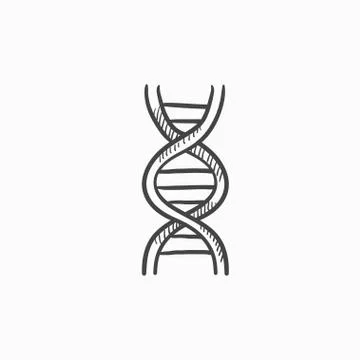 DNA sketch icon 스톡 일러스트