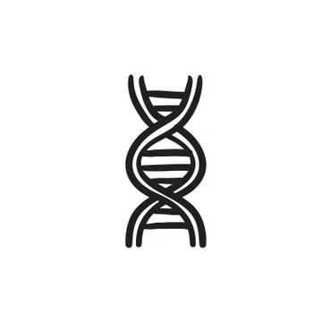 DNA sketch icon 스톡 일러스트