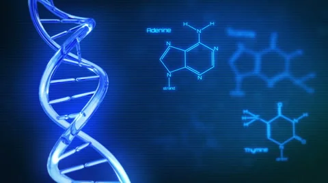 Dna Text Stock Videos – Royalty-Free HD & 4K Videos