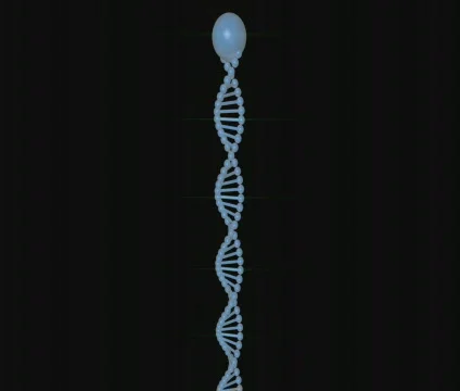 DNA spindle with prism lights Stock-Footage 311219