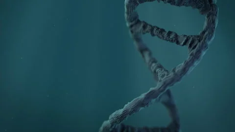 DNA spinning around in a 3D animation Stock Footage 251618116