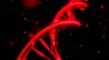 DNA spinning RNA double helix slow tracking shot closeup depth of field DOF red HD Footage