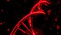 DNA spinning RNA double helix slow tracking shot closeup depth of field 4K 4k or 4k+ Resolution