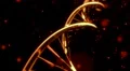 DNA spinning RNA double helix slow tracking shot closeup depth of field 4K 4k or 4k+ Resolution
