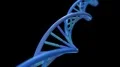 DNA spinning RNA double helix slow science electron microscope closeup dof 4K 4k or 4k+ Resolution