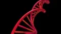 DNA spinning RNA double helix slow science electron microscope closeup dof 4K 4k or 4k+ Resolution