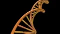 DNA spinning RNA double helix slow science electron microscope closeup dof 4K 4k or 4k+ Resolution