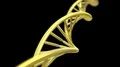 DNA spinning RNA double helix slow science electron microscope closeup dof 4K 4k or 4k+ Resolution