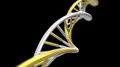 DNA spinning RNA double helix slow science electron microscope closeup dof 4K 4k or 4k+ Resolution