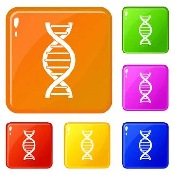 DNA spiral icons set vector color イラスト素材