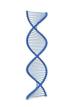 Dna spiral Illustrazione stock