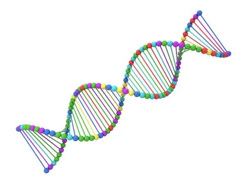 Dna spiral Illustrazione stock
