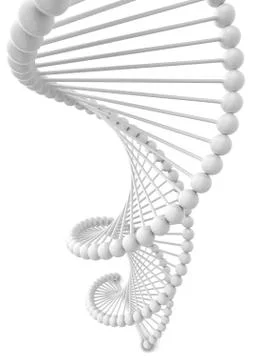 Dna spiral Illustrazione stock