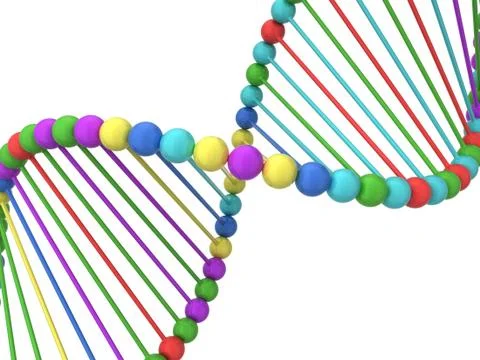 Dna spiral 스톡 일러스트