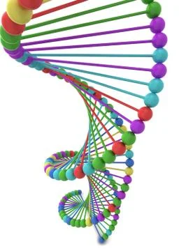 Dna spiral Illustrazione stock