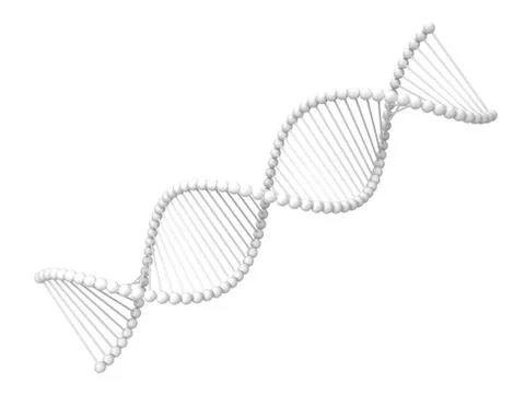 Dna spiral Illustrazione stock