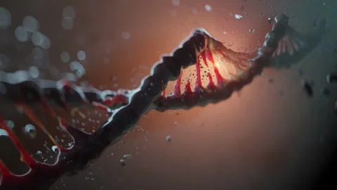 The DNA spiral, the movement of molecules in the microcosm, the evolution of Stock Footage 305533638