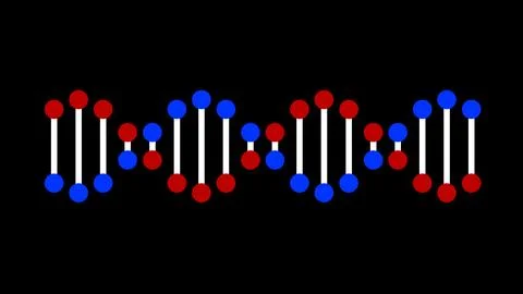 DNA spiral structure on black background. Illustration 스톡 사진