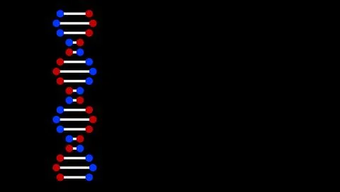 DNA spiral structure on black background. Illustration Stockfoto's