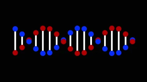 DNA spiral structure rotating on black b... | Stock Video | Pond5