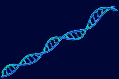 DNA spiral. Vector illustration. Stock Illustration