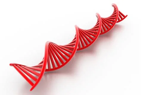 Dna stands. Stock Illustration