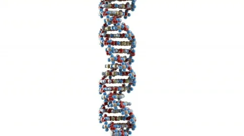 DNA strand 02 Video stock 272459