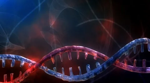 DNA Strand - 2 Tone Version 2 - HD Stock Footage 2923618