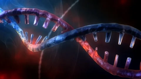 DNA Strand - 2 Tone Version 3 - HD Stock Footage 2923664