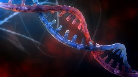 DNA Strand - 2 Tone Version 1 Stock Footage 2923668