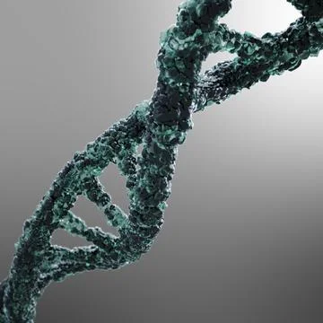 DNA strand 3D Model