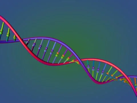 DNA strand. 3D rendering illustration. 스톡 일러스트