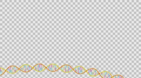 DNA Strand Alpha channel Stock Footage 57290438