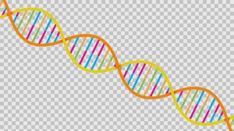 DNA Strand Alpha channel Vidéo 57290457
