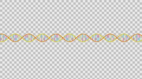 DNA Strand Alpha channel Stock Footage 57291309